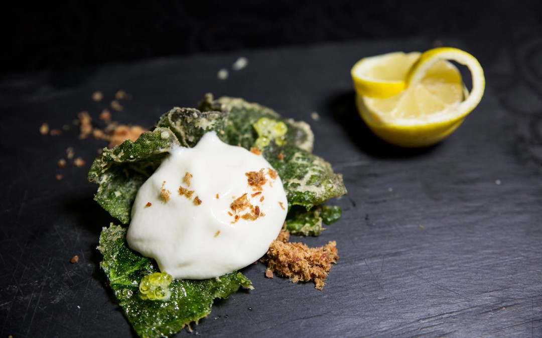 Expo Tapa Internacional 2017