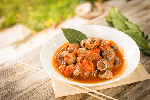 Las IV Jornadas Caracoleras llegan a Aragón en Junio